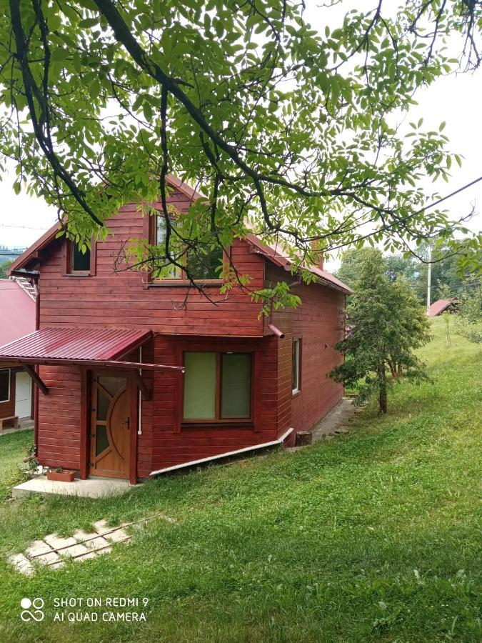 Котедж "Барвінок" Verkhovyna Εξωτερικό φωτογραφία