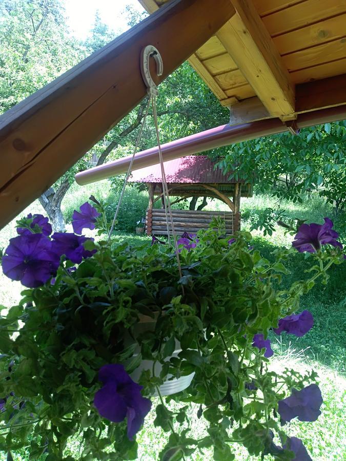 Котедж "Барвінок" Verkhovyna Εξωτερικό φωτογραφία