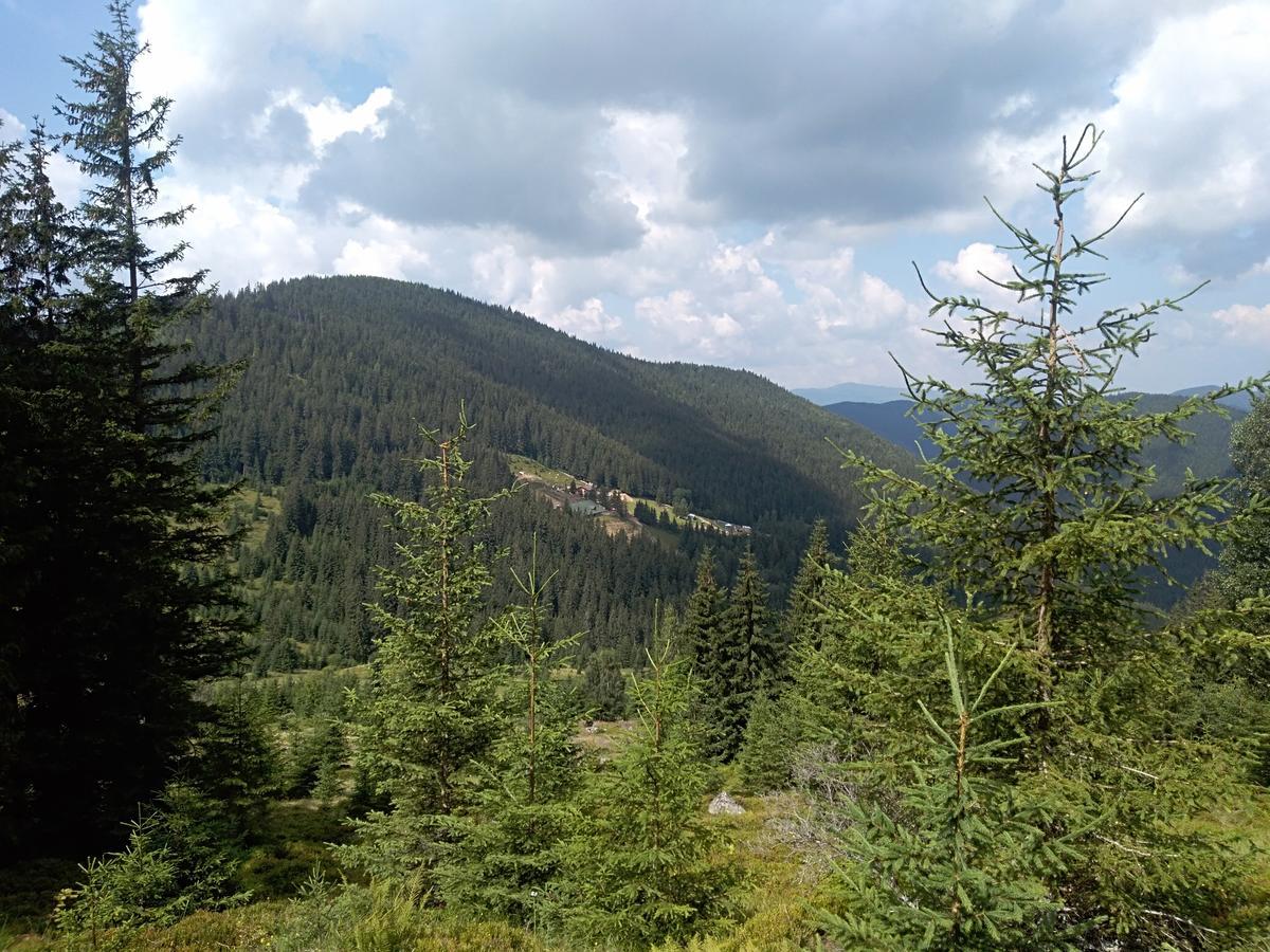 Котедж "Барвінок" Verkhovyna Εξωτερικό φωτογραφία