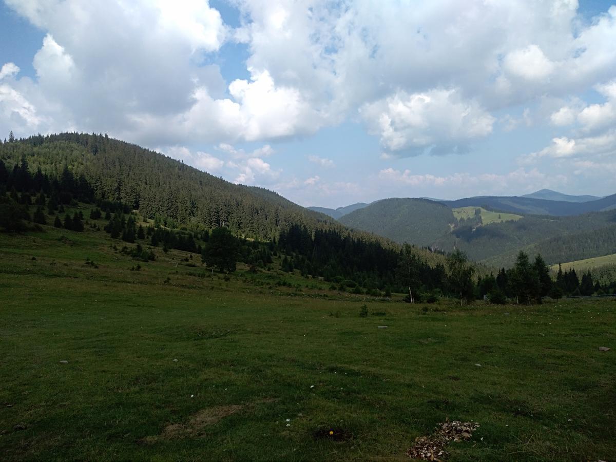 Котедж "Барвінок" Verkhovyna Εξωτερικό φωτογραφία